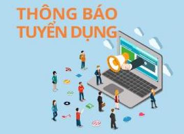 TRỢ LÝ TỔNG GIÁM ĐỐC (Bao gồm mảng Nhân Sự, Tài Chính,  Đầu Tư, Sales, Marketing, Xây Dựng)